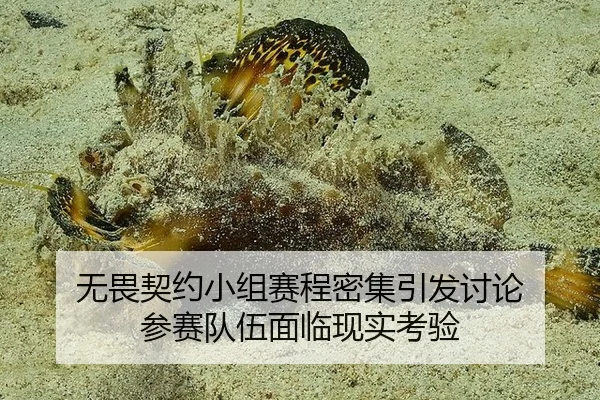 无畏契约小组赛程密集引发讨论 参赛队伍面临现实考验
